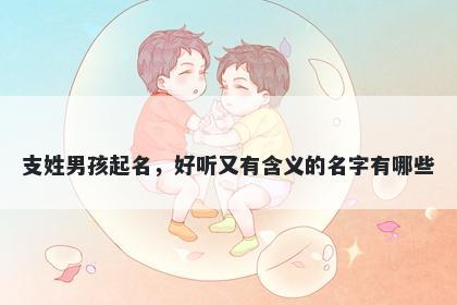 支姓男孩起名，好听又有含义的...