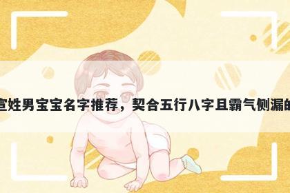 宣姓男宝宝名字推荐，契合五行...