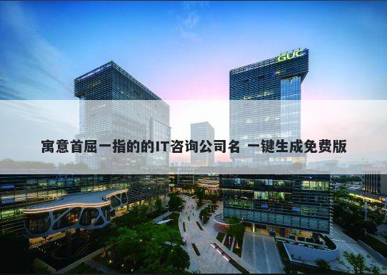 寓意首屈一指的的IT咨询公司名...