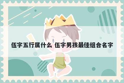 伍字五行属什么 伍字男孩最佳组...