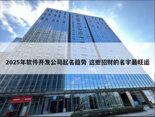 2025年软件开发公司起名趋势 这些招财的名字最旺运