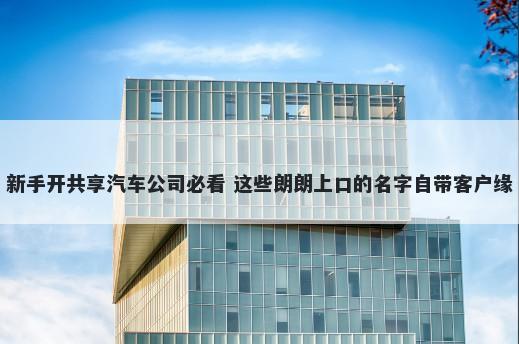 新手开共享汽车公司必看 这些朗朗上口的名字自带客户缘
