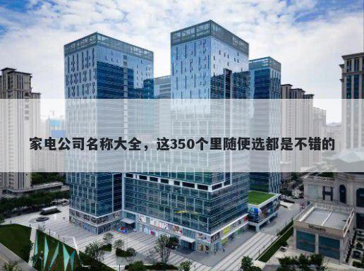 家电公司名称大全，这350个里随...