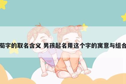 荀字的取名含义 男孩起名用这个...