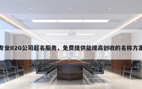 专业B2G公司起名服务，免费提供能提高创收的名称方案