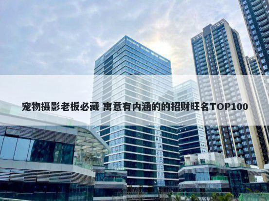 宠物摄影老板必藏 寓意有内涵的的招财旺名TOP100