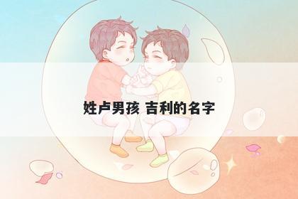 姓卢男孩 吉利的名字