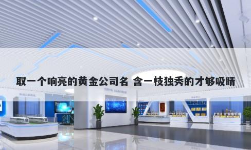 取一个响亮的黄金公司名 含一枝独秀的才够吸睛