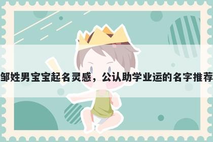 邹姓男宝宝起名灵感，公认助学业运的名字推荐