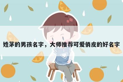 姓茅的男孩名字，大师推荐可爱俏皮的好名字