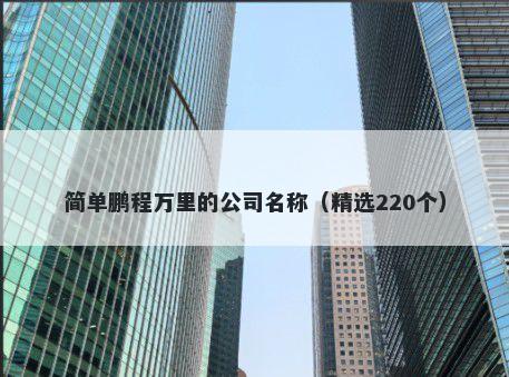 简单鹏程万里的公司名称（精选220个）