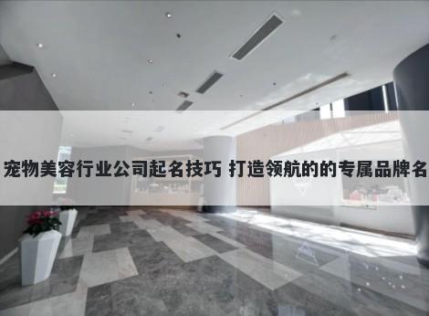 宠物美容行业公司起名技巧 打造领航的的专属品牌名