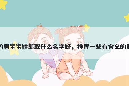 刚出生的男宝宝姓郎取什么名字好，推荐一些有含义的男孩名字