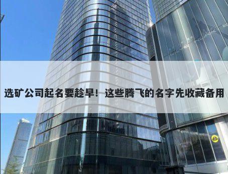 选矿公司起名要趁早！这些腾飞的名字先收藏备用
