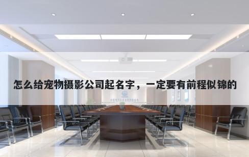怎么给宠物摄影公司起名字，一定要有前程似锦的