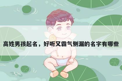 高姓男孩起名，好听又霸气侧漏的名字有哪些