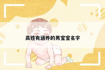 高姓有涵养的男宝宝名字