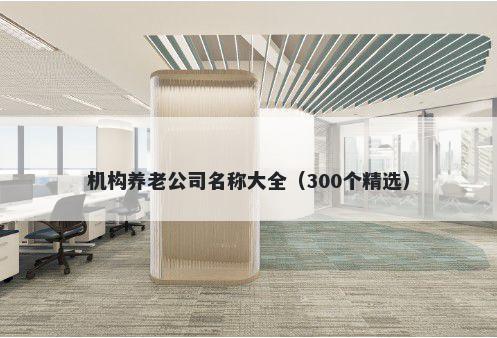 机构养老公司名称大全（300个精选）